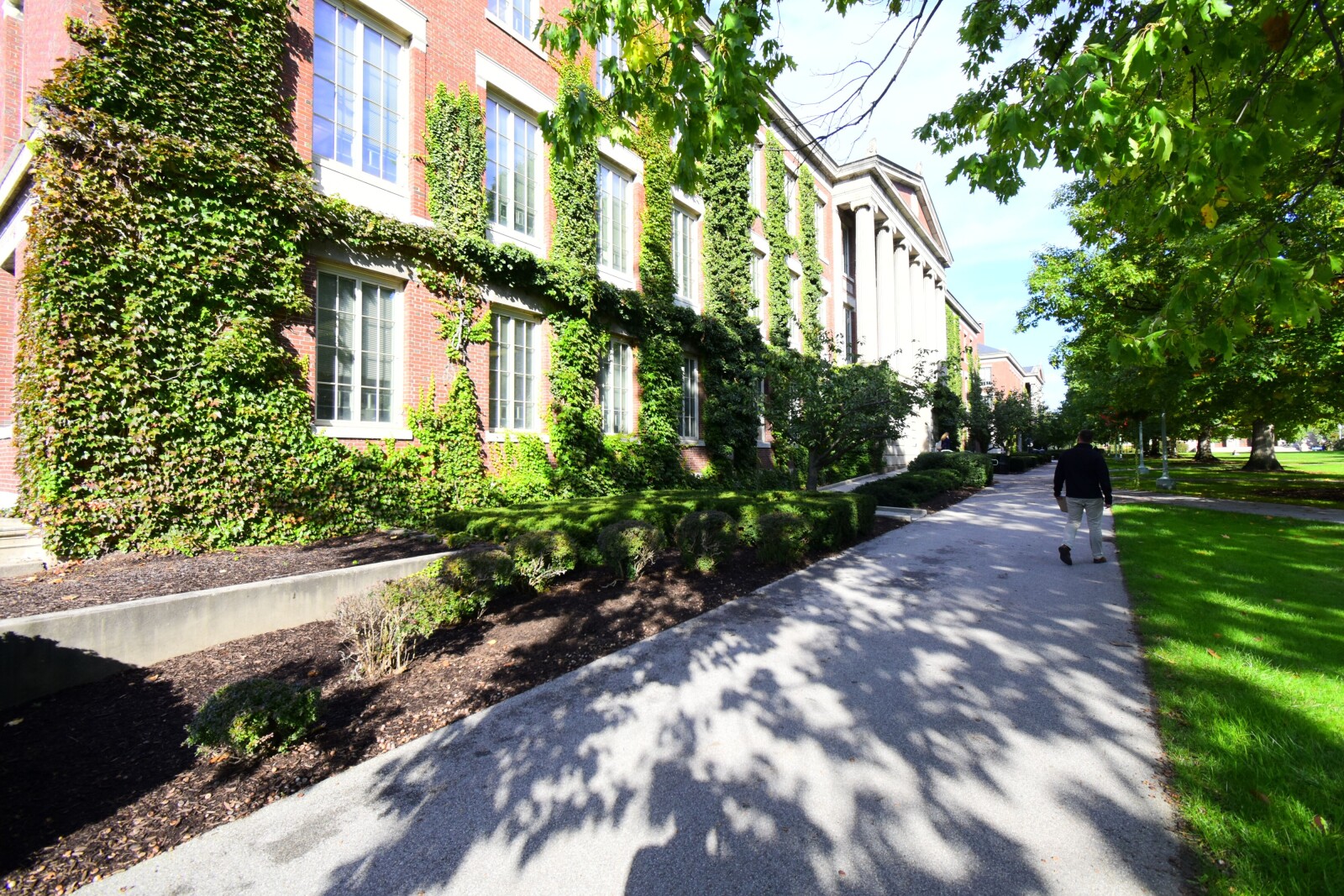 Historical Aluminum Window Addition at the University of Rochester